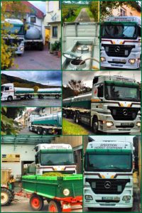 Bildcollage Weinernte Mosel